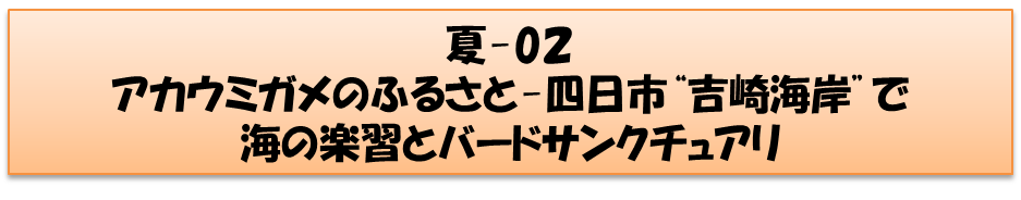 夏コースの画像2