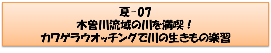 夏コースの画像5