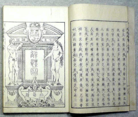 解体新書内容の画像