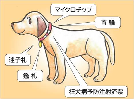 犬の所有者明示例