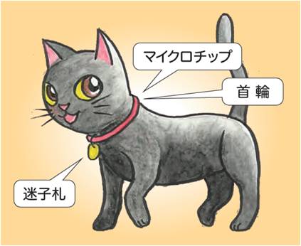 猫の所有者明示例