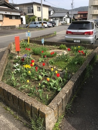 整備された花壇