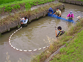 魚類調査の写真