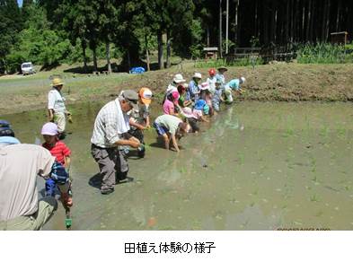 田植え体験の様子