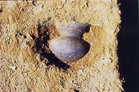 土器出土状況 土器出土状況