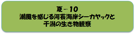 夏コースの画像6