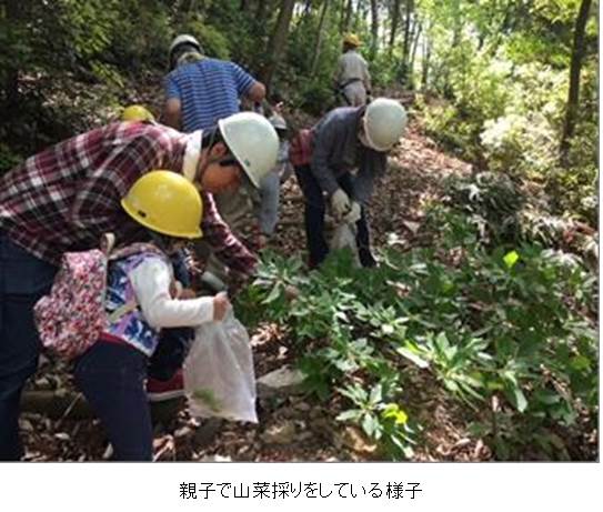 親子で山菜採りをしている様子