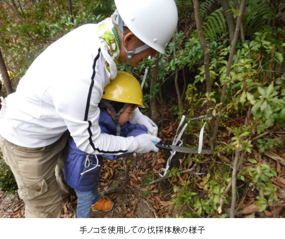 手ノコを使用した伐採体験の様子