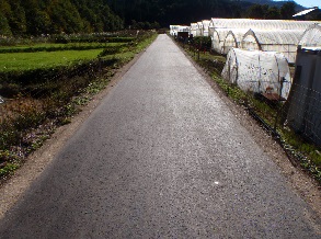 中山間神岡柏原農道の画像