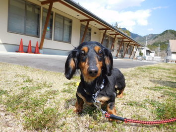 tarou