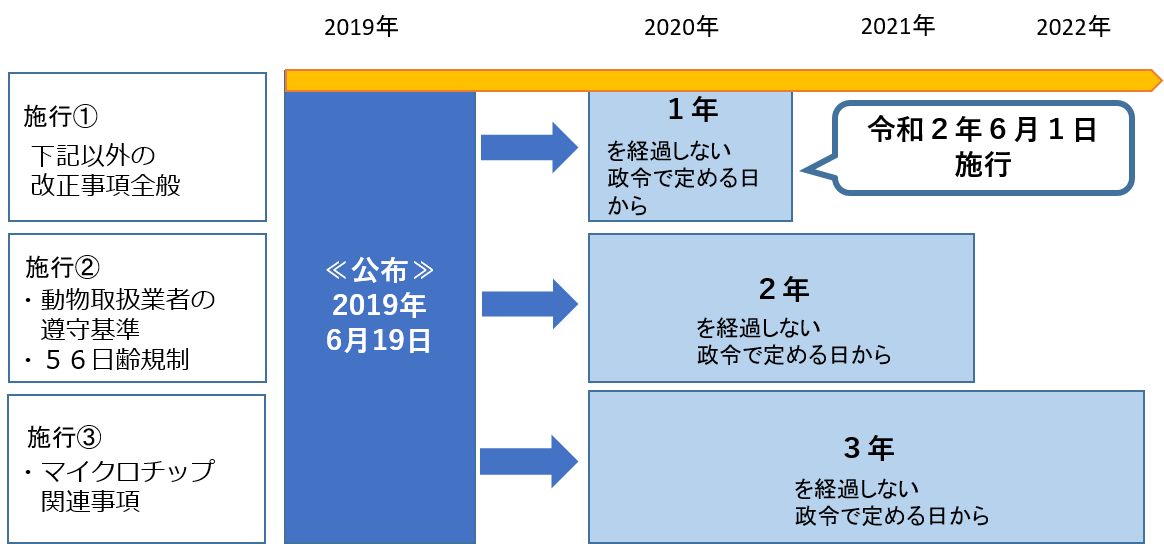 施行予定