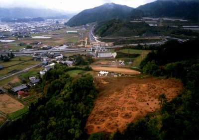 発掘区の全景