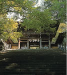 井奈波神社3