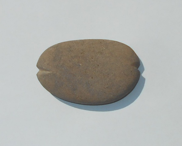 石錘の画像2