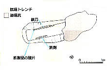 主体部の図