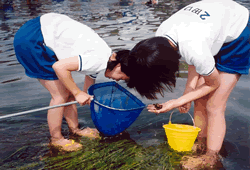 大谷川・西部中学校