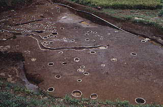 掘立柱建物跡 掘立柱建物跡