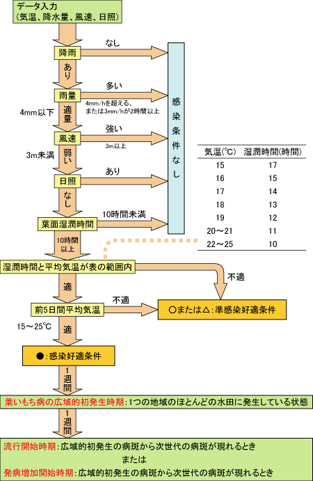 ブラスタムフロー図