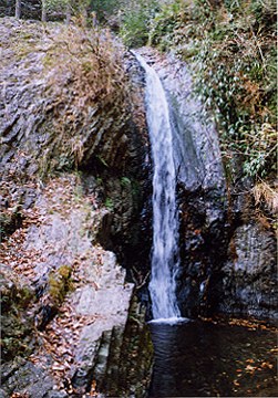 岩舟渓谷萩の滝