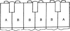 タイプ別住戸配置図