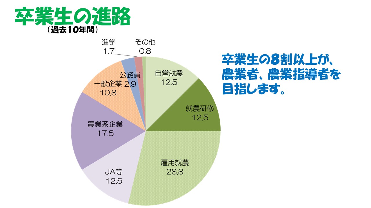 進路先円グラフ