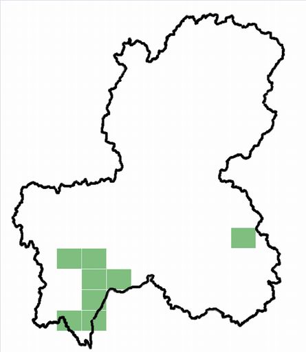 分布情報図を拡大表示します 分布情報図を拡大表示します
