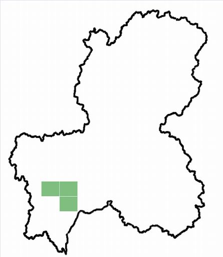 分布情報図を拡大表示します 分布情報図を拡大表示します
