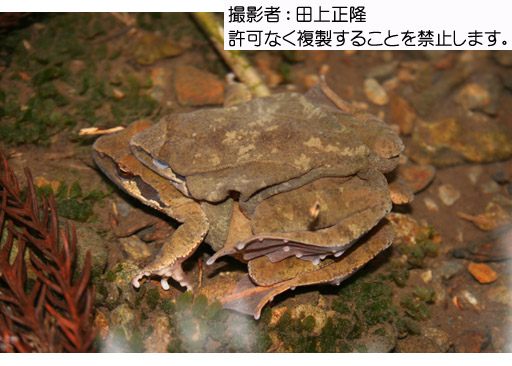 写真を拡大表示します 写真を拡大表示します