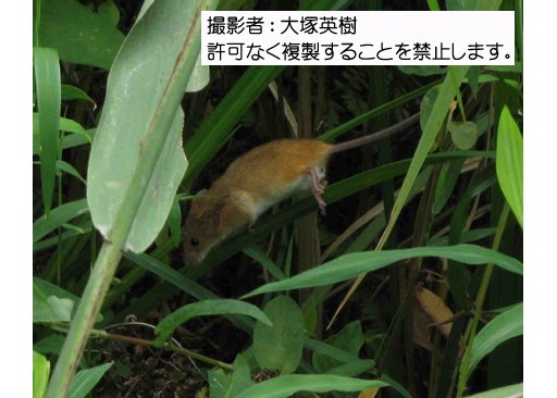 写真を拡大表示します 写真を拡大表示します