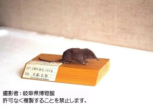 写真を拡大表示します 写真を拡大表示します