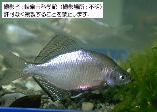 写真を拡大表示します 写真を拡大表示します