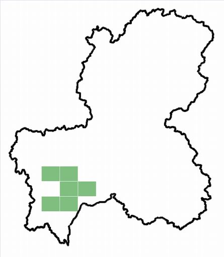 分布情報図を拡大表示します 分布情報図を拡大表示します