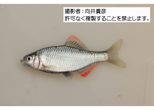 写真を拡大表示します 写真を拡大表示します