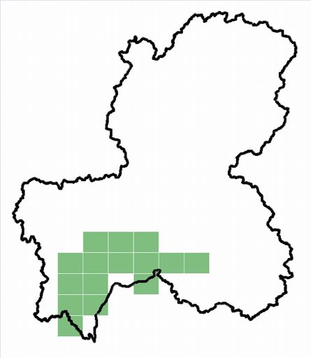 分布情報図を拡大表示します 分布情報図を拡大表示します