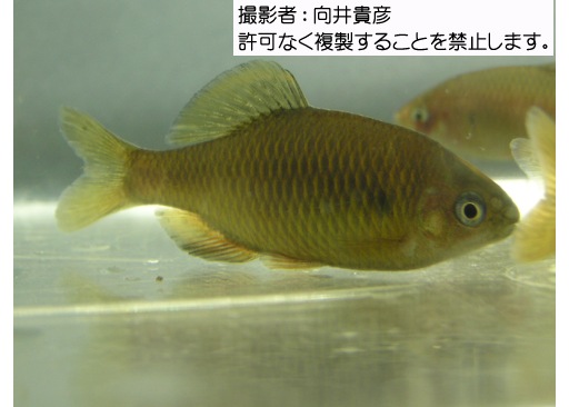 写真を拡大表示します 写真を拡大表示します