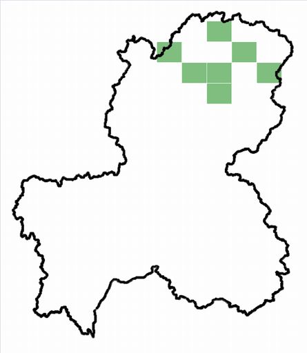 分布情報図を拡大表示します 分布情報図を拡大表示します