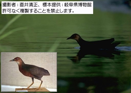 写真を拡大表示します 写真を拡大表示します