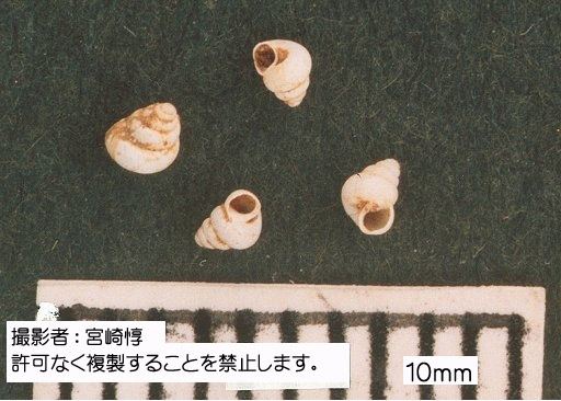 写真を拡大表示します 写真を拡大表示します