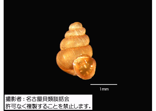 写真を拡大表示します 写真を拡大表示します