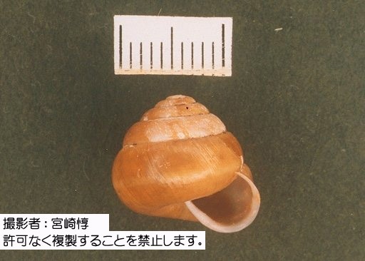 写真を拡大表示します 写真を拡大表示します