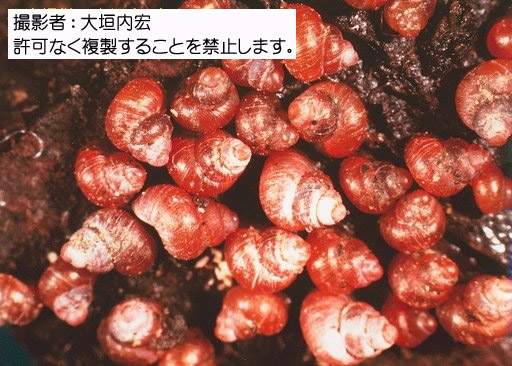 写真を拡大表示します 写真を拡大表示します
