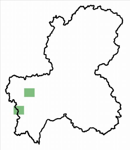 分布情報図を拡大表示します 分布情報図を拡大表示します