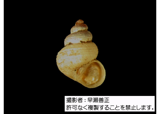 写真を拡大表示します 写真を拡大表示します