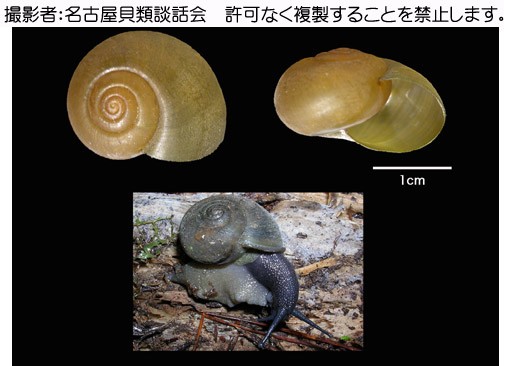 写真を拡大表示します 写真を拡大表示します