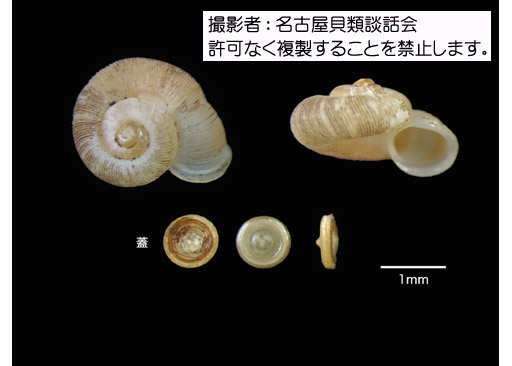 写真を拡大表示します 写真を拡大表示します