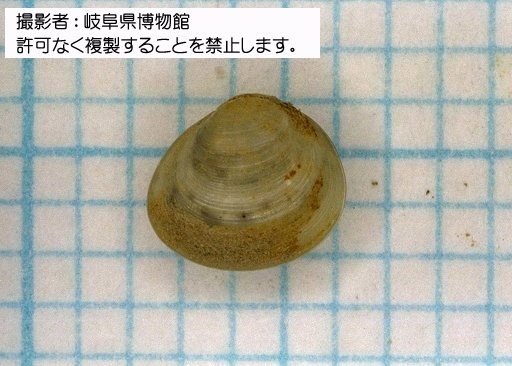 写真を拡大表示します 写真を拡大表示します