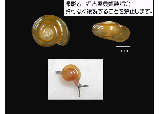 写真を拡大表示します 写真を拡大表示します
