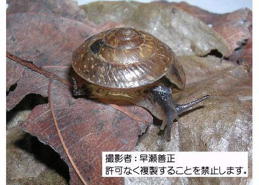 写真を拡大表示します 写真を拡大表示します