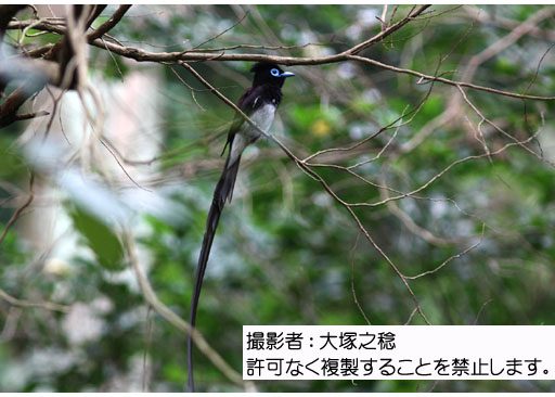 写真を拡大表示します 写真を拡大表示します