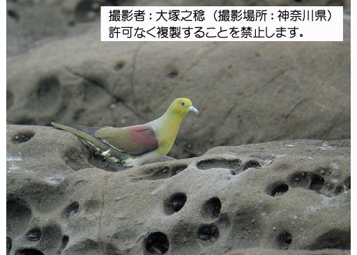 写真を拡大表示します 写真を拡大表示します